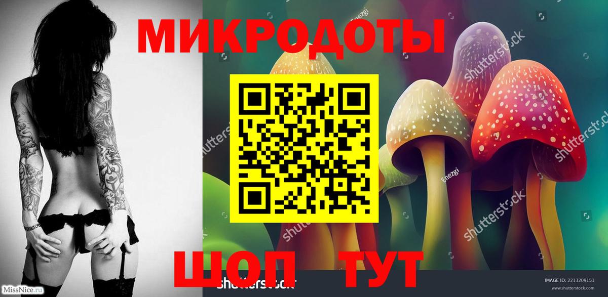 Псилоцибиновые грибы Psilocybe Нефтеюганск